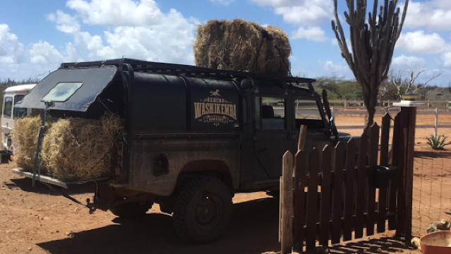 Rancho Washikemba- manege Bonaire