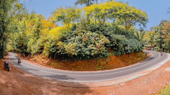 Payung Kota Wisata Batu