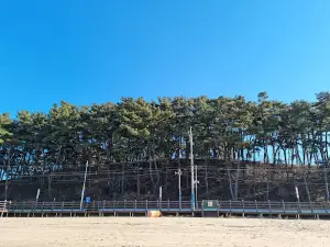 Janggyeongi Beach