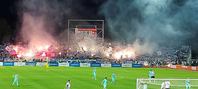 Donaustadion