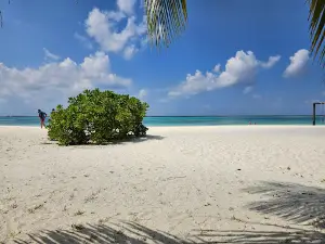 Bodufushi