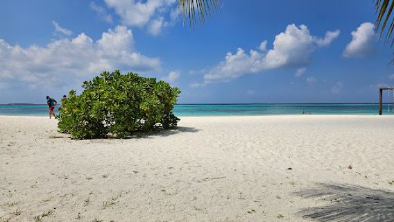 Bodufushi