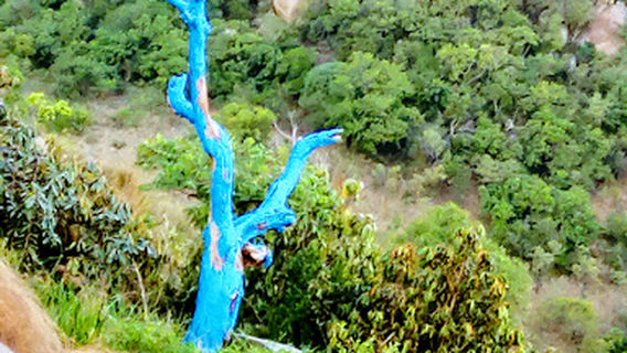 Steiltes nature reserve