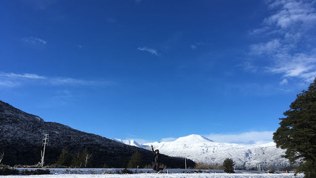 Greyneys Shelter Campsite