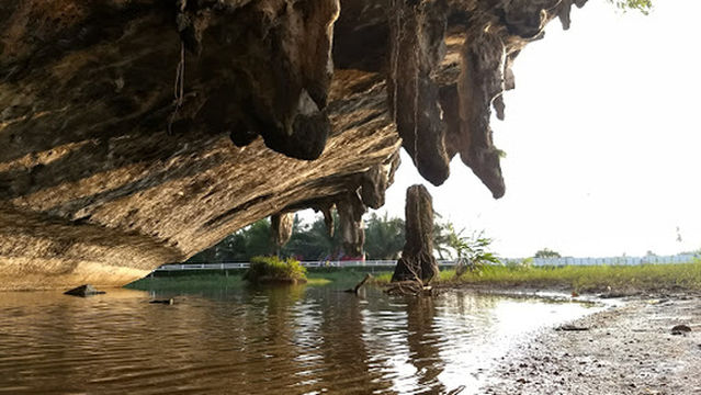 Khao thanan /Sun flower bed