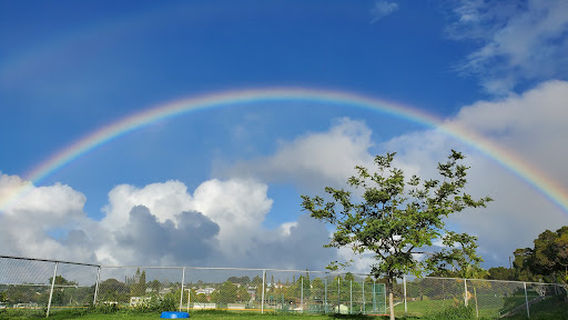 Upcountry Dog Park