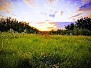 Rivers Provincial Park