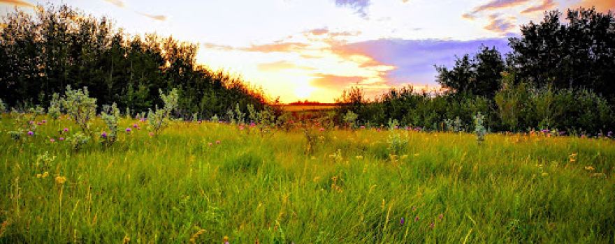Rivers Provincial Park