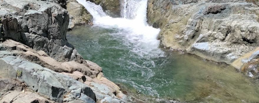 Tres palmitas swimming hole
