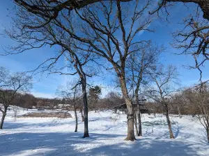 Wing Park