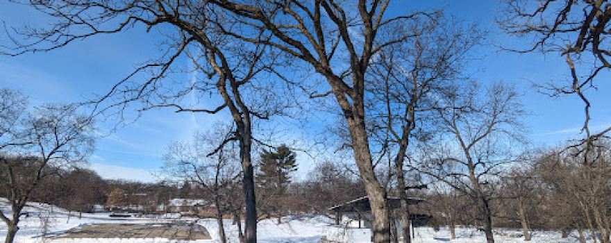 Wing Park