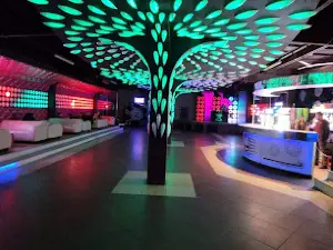 Zilion Club Wrzelowiec
