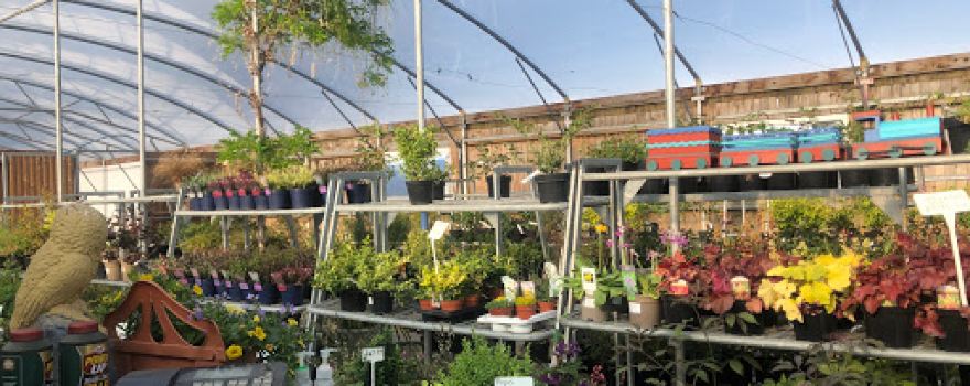 Cross Farm Nursery