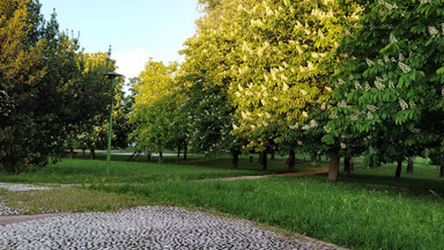 Divisione Acqui Park