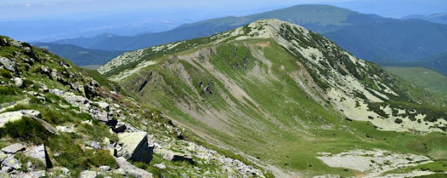 Vârful Brusturu