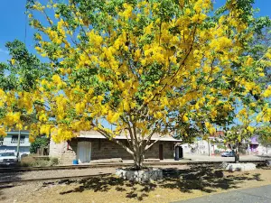 Chavarrillo Estación