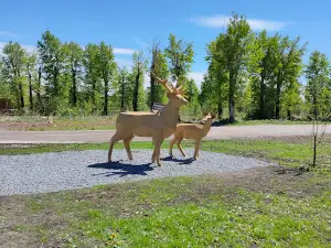 Central Park