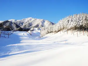 Ibukinosato Ski Area