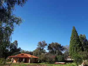 Complejo Coimata