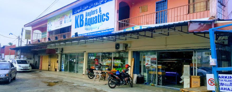 Kedai Ikan Akuarium KB Anglers & Aquatics