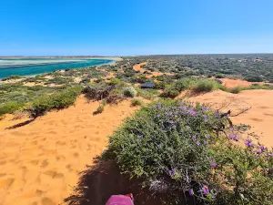 Big Lagoon