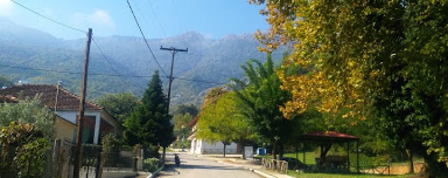Park "Tsiavaliari"