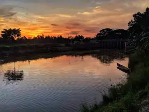 Boro Bila