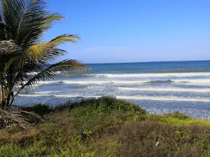 Playa Boquilla