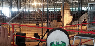 Isabella County Fairground