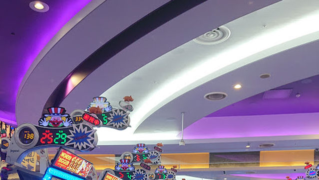 Wonder Land Hikarinomori