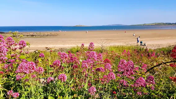 Skerries North Strand