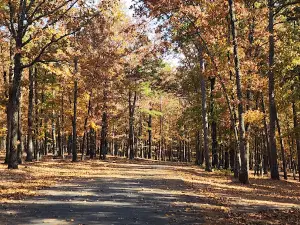 Devils Fork Recreation Area