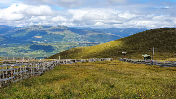 Nevis Range Gondola Top