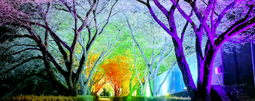 Yotagiri Park