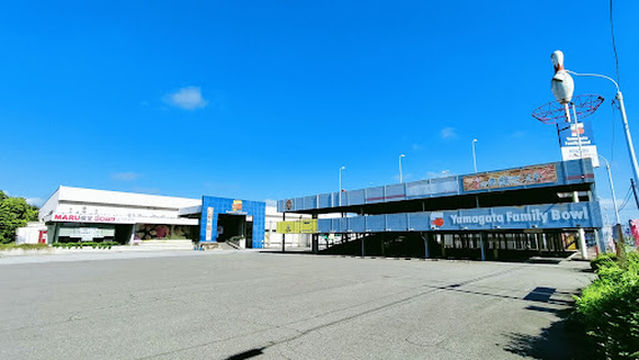 Yamagata Family Bowl