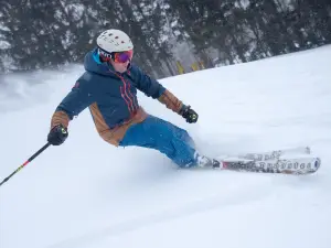 Stratton Mountain Resort