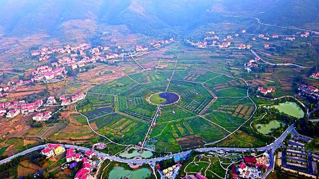 shen cai ba gua yuan