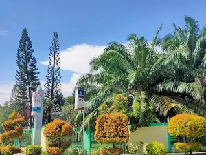 Taman Hijau Karimun