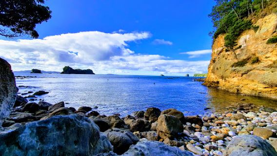Cathedral Cove Viewing Deck