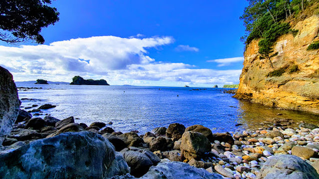Cathedral Cove Viewing Deck