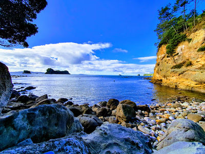 Cathedral Cove Viewing Deck
