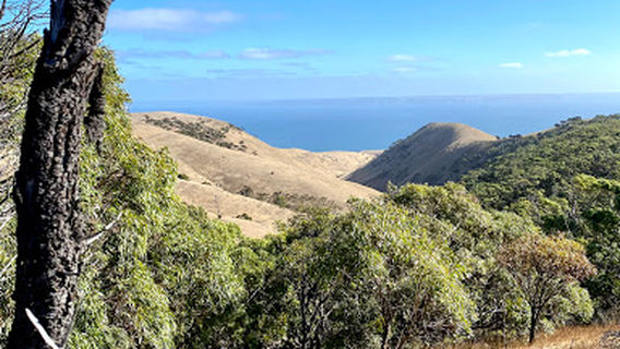 Cape Jervis