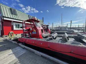 Campbell River Whale Watching and Adventure Tours