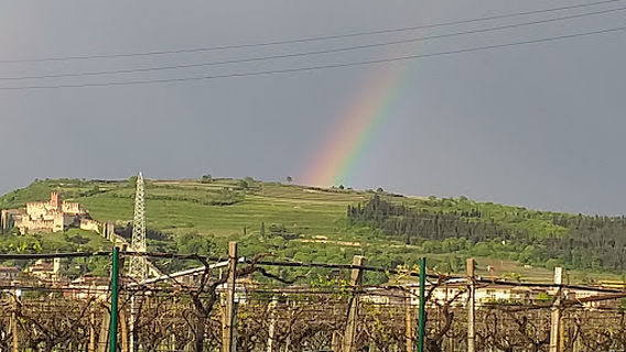 Palazzetto Soave