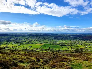 Fionn's Giant Adventure