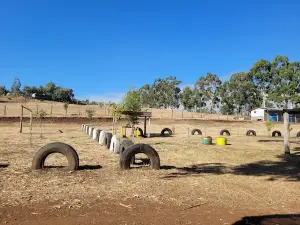 Camping Río Quino