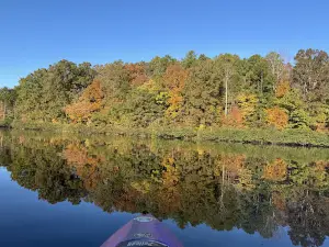 Roy J. Maness Nature Preserve