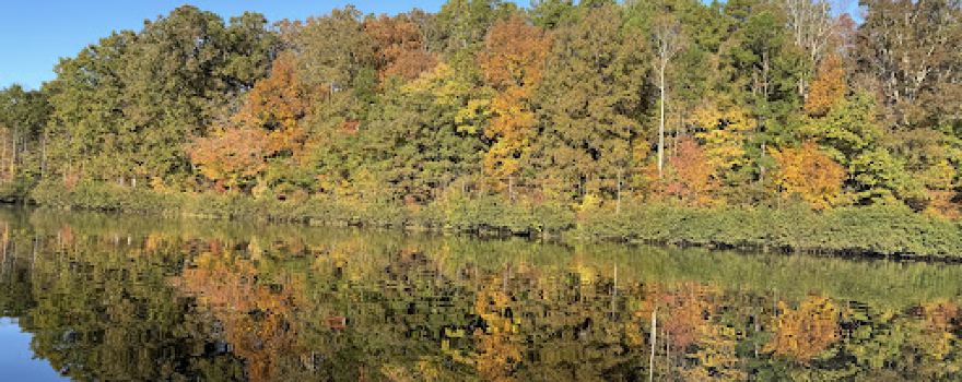 Roy J. Maness Nature Preserve