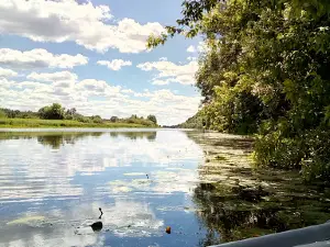 Podbelka