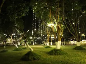 Bastar Greens Eco Stays